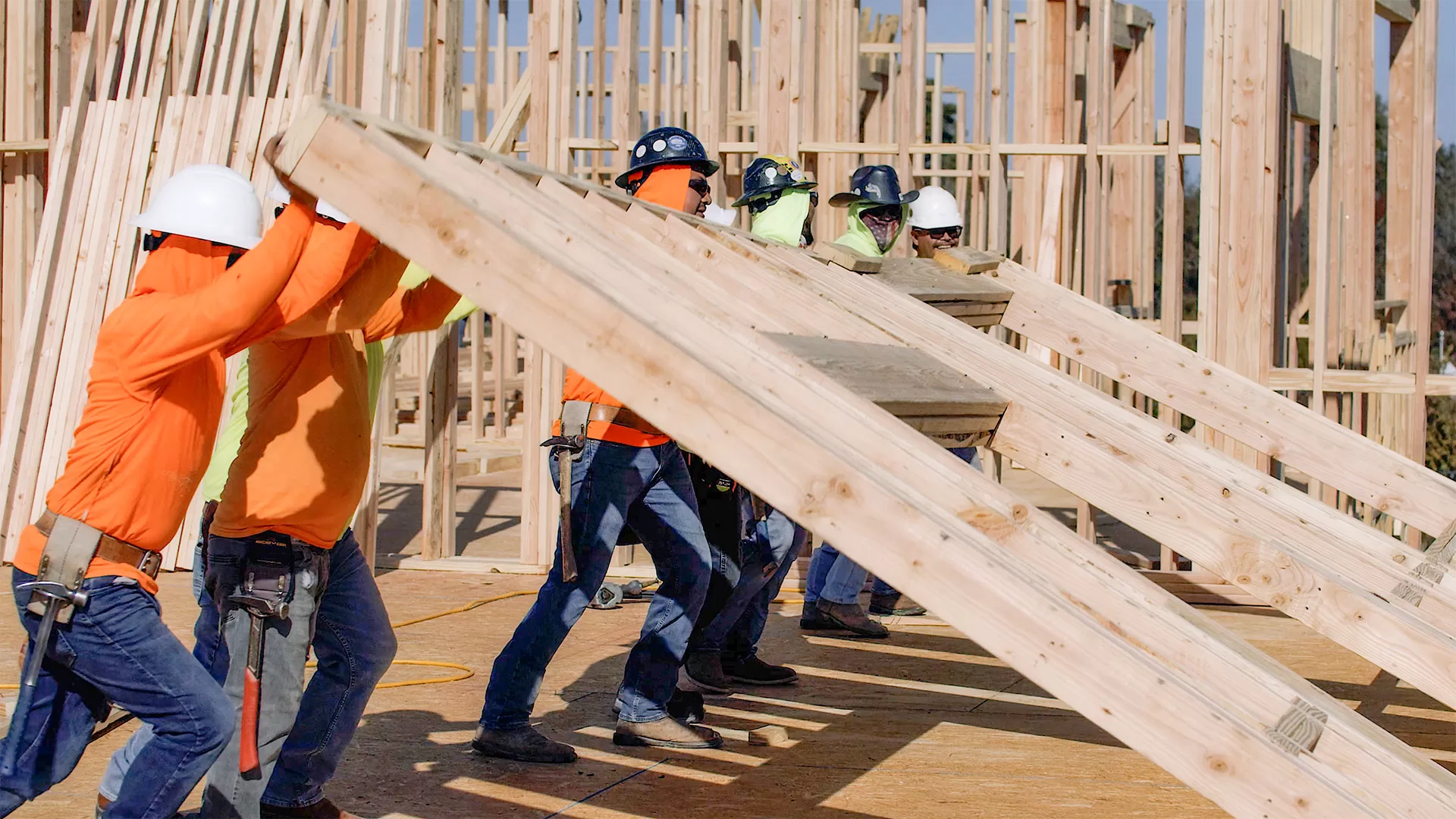 Domain-Builders-Culture